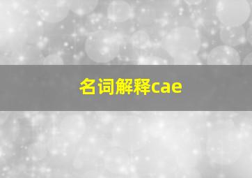 名词解释cae