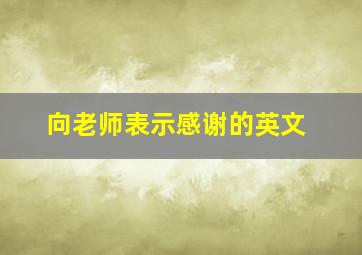 向老师表示感谢的英文