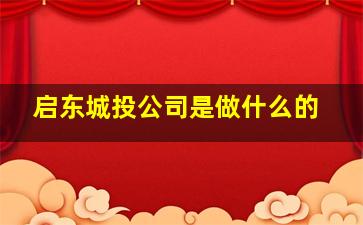 启东城投公司是做什么的