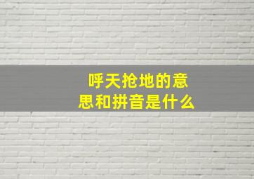 呼天抢地的意思和拼音是什么