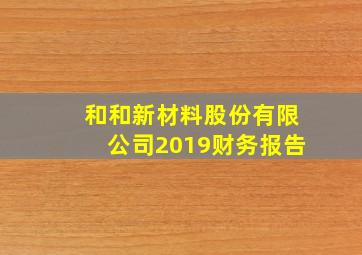 和和新材料股份有限公司2019财务报告