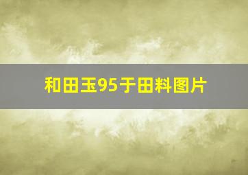 和田玉95于田料图片