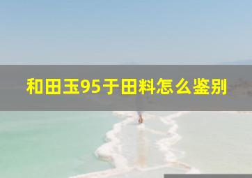 和田玉95于田料怎么鉴别