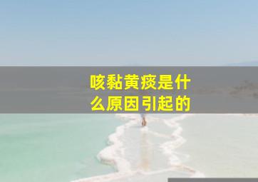 咳黏黄痰是什么原因引起的