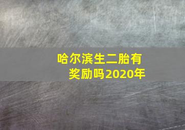 哈尔滨生二胎有奖励吗2020年