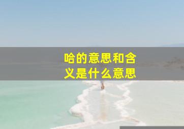 哈的意思和含义是什么意思