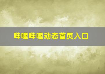 哔哩哔哩动态首页入口