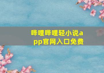 哔哩哔哩轻小说app官网入口免费