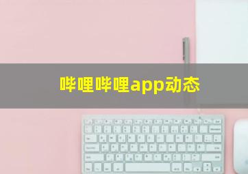 哔哩哔哩app动态