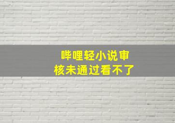 哔哩轻小说审核未通过看不了