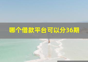 哪个借款平台可以分36期