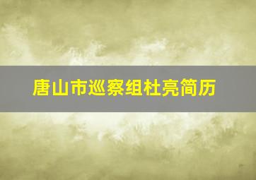 唐山市巡察组杜亮简历