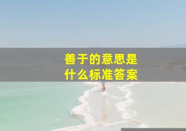 善于的意思是什么标准答案