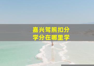 嘉兴驾照扣分学分在哪里学