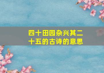 四十田园杂兴其二十五的古诗的意思