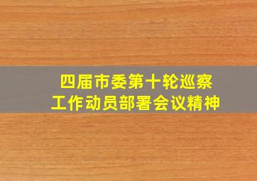 四届市委第十轮巡察工作动员部署会议精神