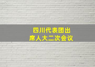 四川代表团出席人大二次会议