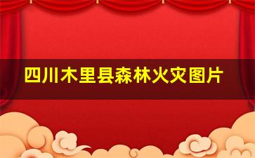 四川木里县森林火灾图片