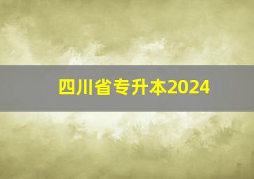 四川省专升本2024