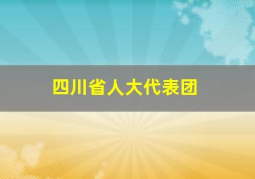 四川省人大代表团