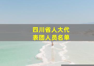 四川省人大代表团人员名单