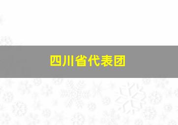 四川省代表团