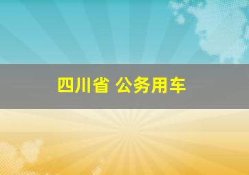 四川省 公务用车