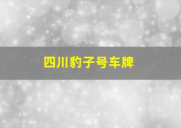 四川豹子号车牌