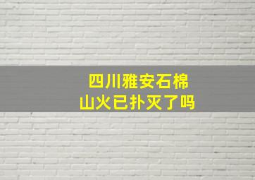 四川雅安石棉山火已扑灭了吗