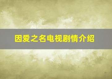 因爱之名电视剧情介绍