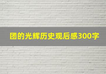 团的光辉历史观后感300字