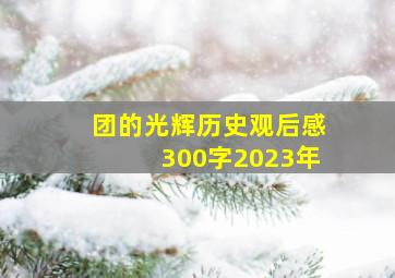 团的光辉历史观后感300字2023年