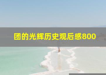 团的光辉历史观后感800