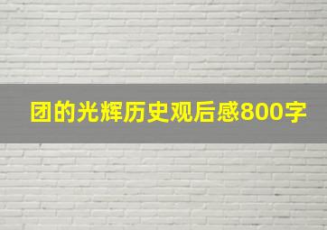 团的光辉历史观后感800字