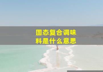 固态复合调味料是什么意思