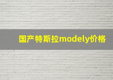 国产特斯拉modely价格