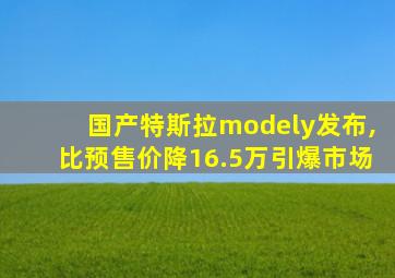 国产特斯拉modely发布,比预售价降16.5万引爆市场