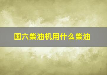 国六柴油机用什么柴油