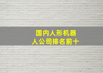 国内人形机器人公司排名前十