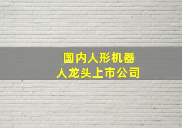 国内人形机器人龙头上市公司