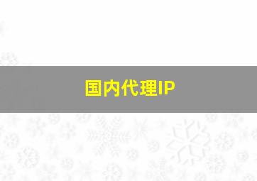 国内代理IP