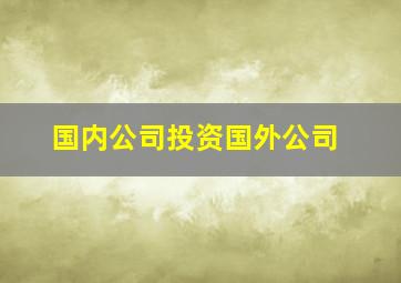 国内公司投资国外公司