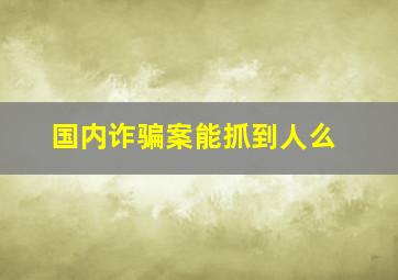 国内诈骗案能抓到人么