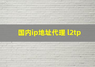 国内ip地址代理 l2tp