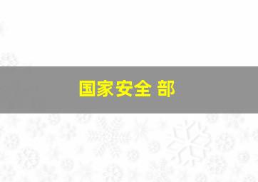 国家安全 部