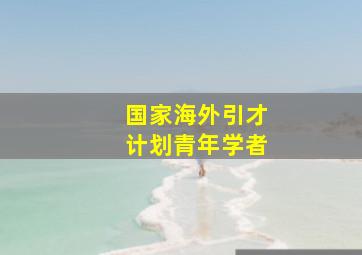 国家海外引才计划青年学者