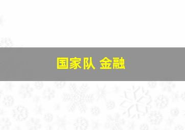 国家队 金融