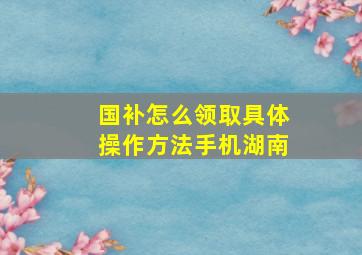 国补怎么领取具体操作方法手机湖南