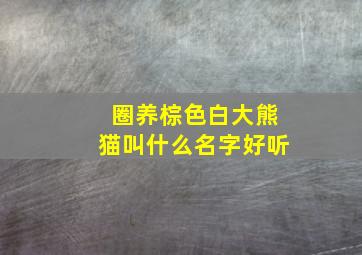 圈养棕色白大熊猫叫什么名字好听