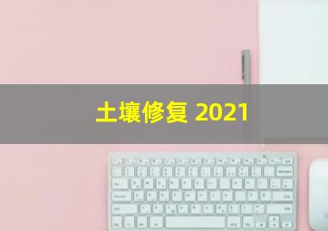 土壤修复 2021